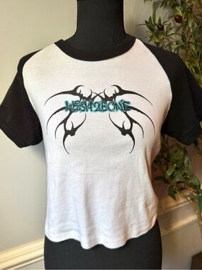 LA Apparel Wishbone Graphic Baby Tee Cropped Raglan Y2K XL